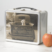 Ga weg uit Dodge - foto van Dog (In situ)