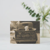 Ga weg uit Dodge - foto van Dog Briefkaart (Staand voorkant)