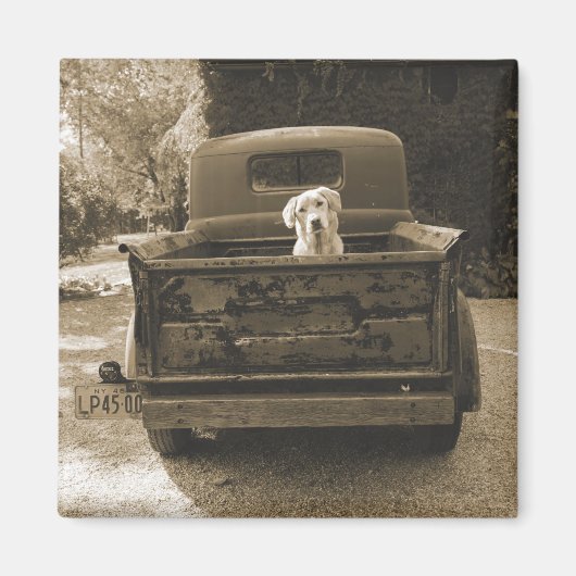 Ga weg uit Dodge - foto van Dog Magneet (Voorkant)