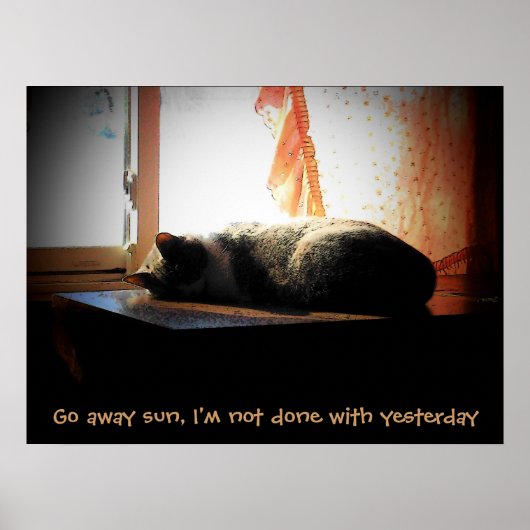 Ga Weg Zon - Slapende Kat Poster (Voorkant)