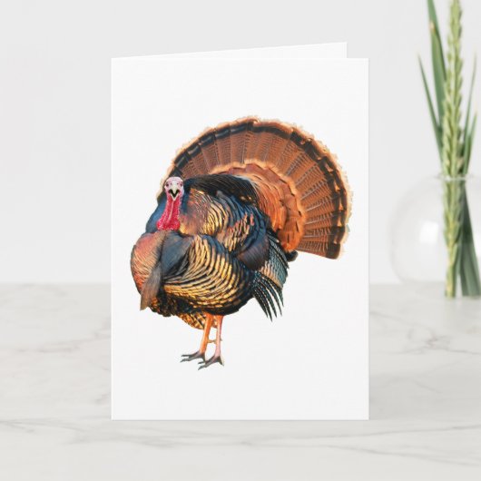 Ga zelf dingen doen feestdagen kaart (Voorkant)