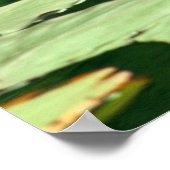 Ga zitten en ben waterlio's poster (Hoek)