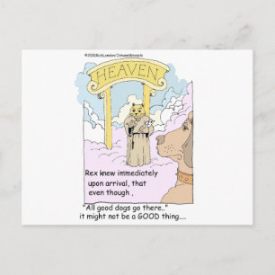 Gaan Alle Katten Naar De Hemel? Grappige Cadeaus & Briefkaart