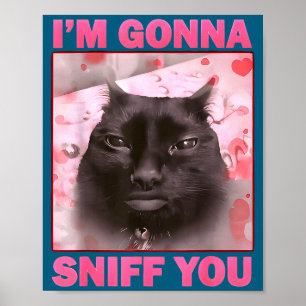Gaan grappige brainrot katten meme voor vrouw man poster