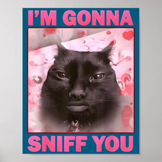 Gaan grappige brainrot katten meme voor vrouw man poster (Voorkant)