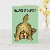 Gaan mauwt het die? Het Wenskaart van de Kat van Kaart (Gele Bloem)