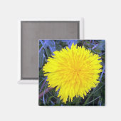 Gaarde zonneschijnmagneet magneet (Voorkant / Achterkant)