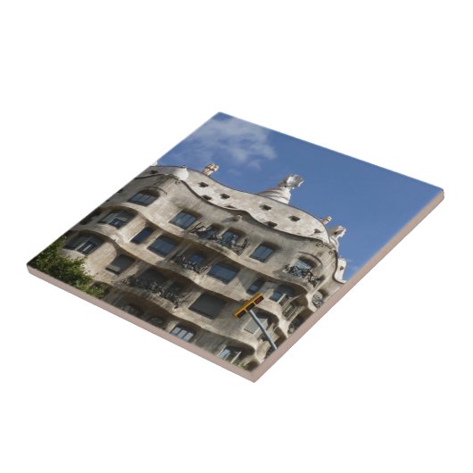 gaas 2 tegeltje (Zijkant)