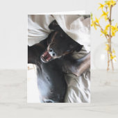 Gabby het Wenskaart van Selfie van de Hond van de Kaart (Gele Bloem)