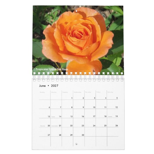 Gabby the Gardener 2021 Calendar Kalender (Jun 2027)