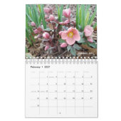 Gabby the Gardener 2021 Calendar Kalender (Feb 2027)
