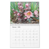 Gabby the Gardener 2021 Calendar Kalender (Feb 2026)