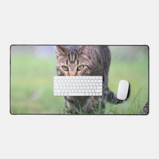 Gabe Bureaumat (Keyboard & Muis)