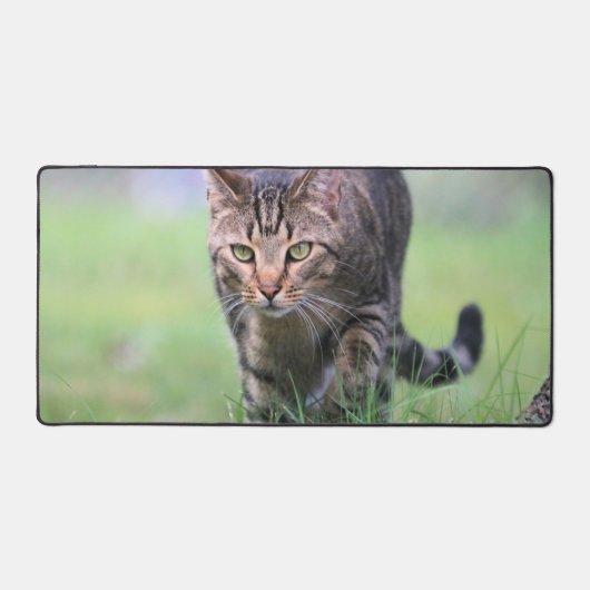 Gabe Bureaumat (Voorkant)