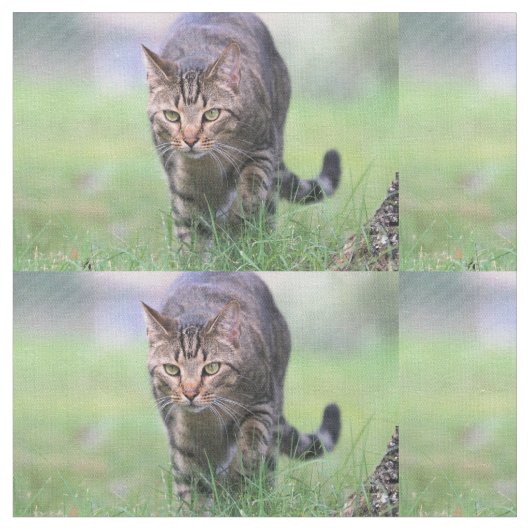 Gabe Stof (Close Up)