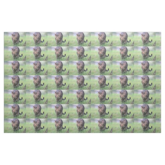 Gabe Stof (Fat Quarter)