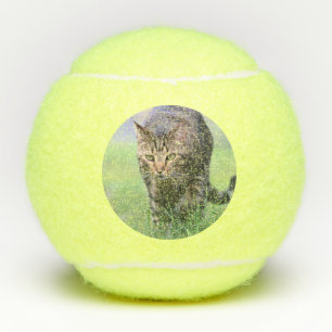 Gabe Tennisballen