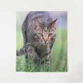 Gabe Wandkleed (Voorkant)