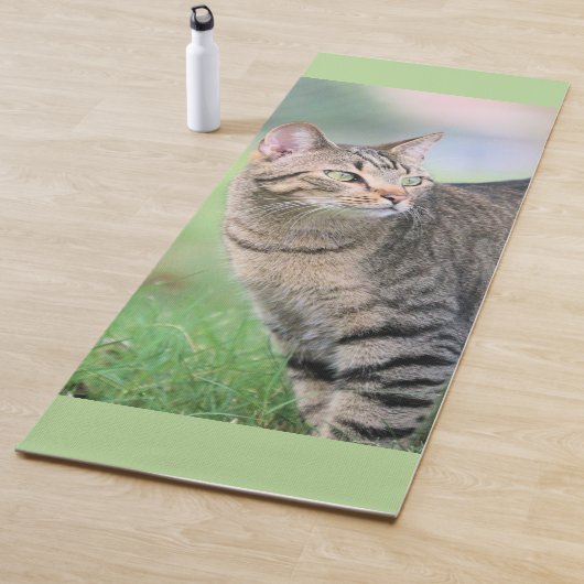 Gabe Yogamat (In situ)