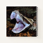 Gabon viper notitieboek (Achterkant)