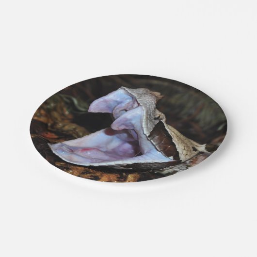 Gabon viper papieren bordje (Gekanteld)