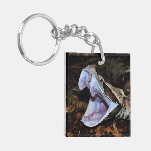 Gabon viper sleutelhanger (Voorkant Links)
