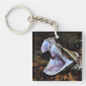 Gabon viper sleutelhanger (Voorkant)