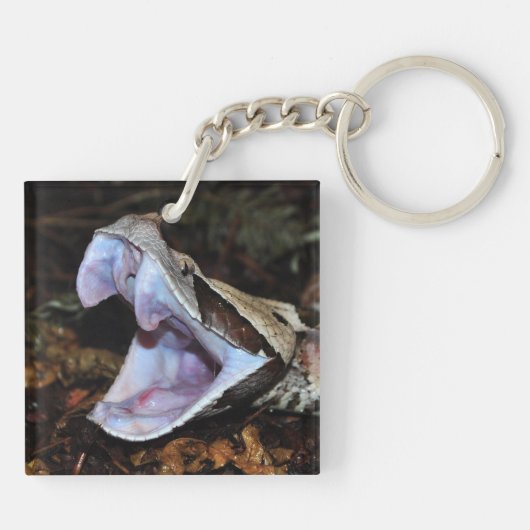 Gabon viper sleutelhanger (Achterkant)