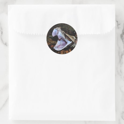 Gaboon adder ronde sticker (Tas)