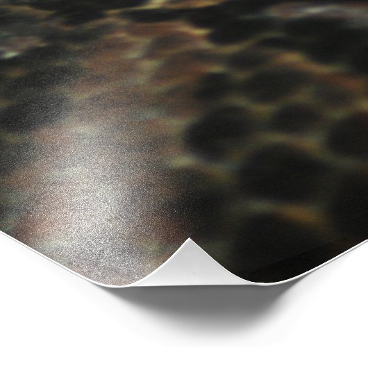 Gaboon Viper Closeup Foto Afdruk (Hoek)