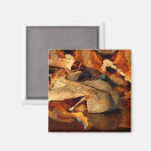 Gaboon Viper Magneet (Voorkant / Achterkant)