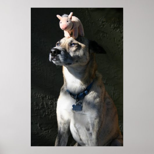 Gabriel beval bacon als ontbijt poster (Voorkant)
