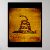 Gadsden Bill of Rights Poster (Voorkant)
