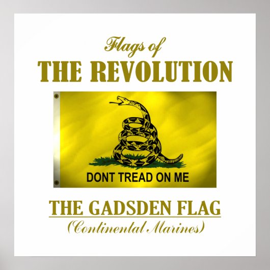 Gadsden Flag (FR) Poster (Voorkant)