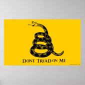 Gadsden Flag Poster (Voorkant)