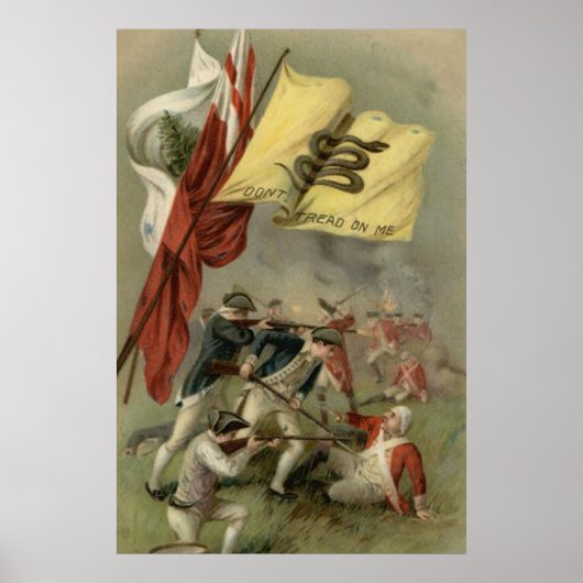 Gadsden Flag Revolutionary War Bunker Hill Poster (Voorkant)