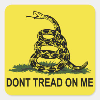 Gadsden Flag Vierkante Sticker