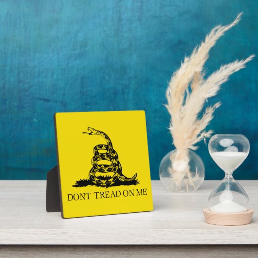 Gadsden Rattlesnake Flag: Revolutionaire Oorlog 17 Fotoplaat (Insitu)