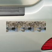 Gadwall Drake Bumpersticker (Op auto)