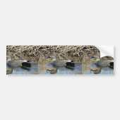 Gadwall Drake Bumpersticker (Voorkant)