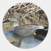 Gadwall Drake Ronde Sticker (Voorkant)