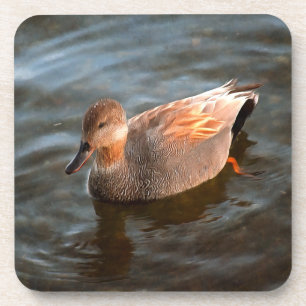 Gadwall Duck Drake op het meer Bier Onderzetter