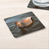 Gadwall Duck Drake op het meer Kartonnen Onderzetters (Schuin)
