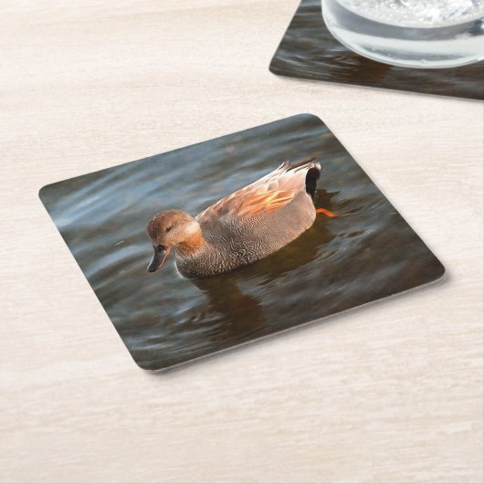 Gadwall Duck Drake op het meer Kartonnen Onderzetters (Schuin)