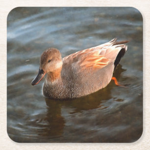 Gadwall Duck Drake op het meer Kartonnen Onderzetters