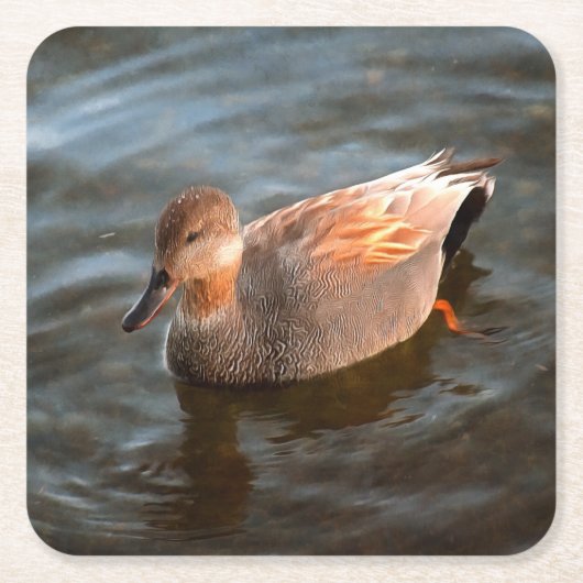 Gadwall Duck Drake op het meer Kartonnen Onderzetters (Voorkant)