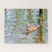 Gadwall Duck Legpuzzel (Horizontaal)