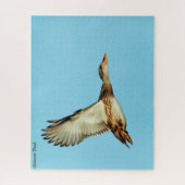 Gadwall Duck Legpuzzel (Verticaal)