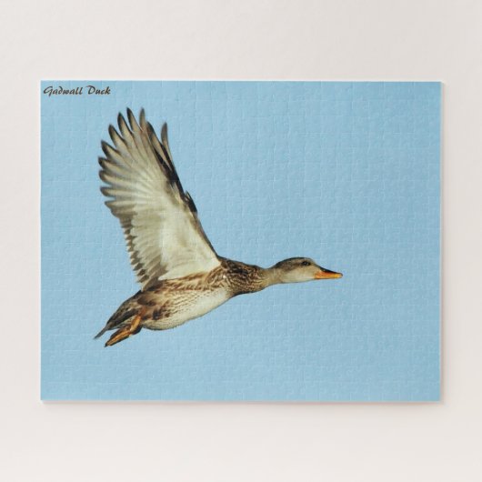 Gadwall Duck Legpuzzel (Horizontaal)