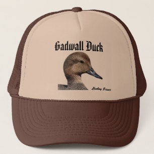 Gadwall Duck pet